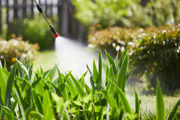 24/7 Emergency Mosquito Control experts in Pendleton, SC