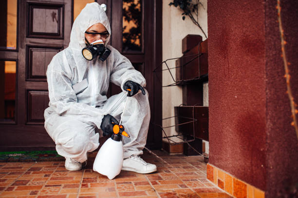 Reliable Mosquito Control contractor in Pendleton, SC by Nex Pest Control